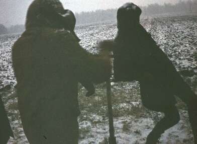 Акция КД Ворот. Фотография - 14