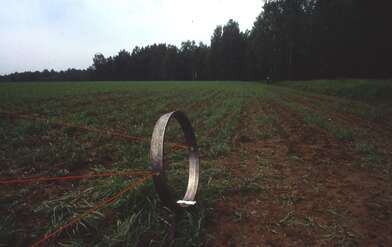 Collective action Moving of the Audience. Photo - 11