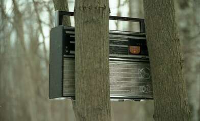 Collective action 83. Photo - 49