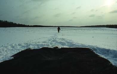 Collective action Sound Perspectives. Photo - 23