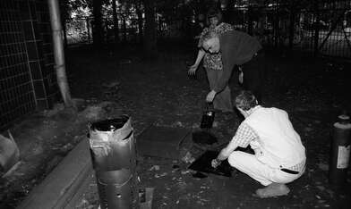 Collective action Library. Photo - 80