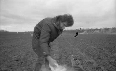 Collective action Image of a Rhombus. Photo - 13