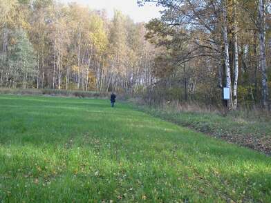 Акция КД Стенд-газета. Фотография - 32