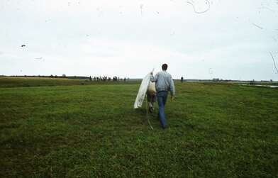 Collective action Second Picture. Photo - 18