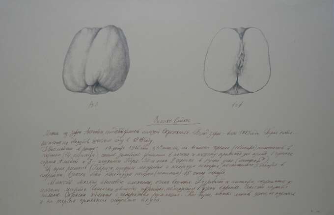 Игорь Макаревич. Девушки Мичурина