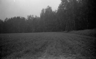 Collective action Moving of the Audience. Photo - 28