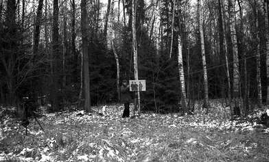 Collective action On the Clearing. Photo - 59