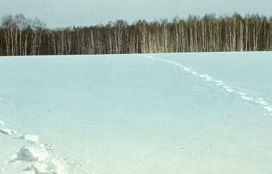 Акция КД 10 Появлений. Фотография - 53