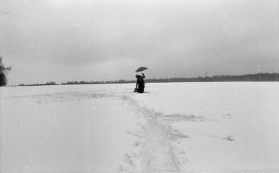 Collective action Russian World. Photo - 47