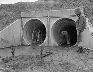 Акция КД Встреча. Фотография - 42