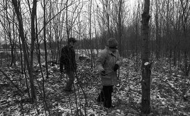 Collective action On the Clearing. Photo - 31