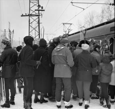 Collective action Sound Perspectives. Photo - 81