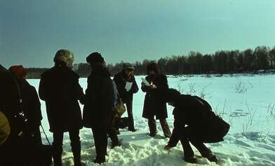 Collective action Observing the Waterfall. Photo - 76
