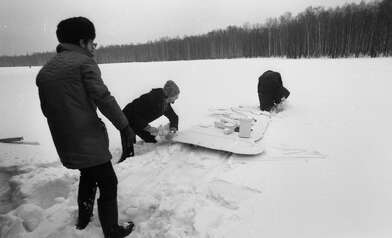 Collective action Russian World. Photo - 84