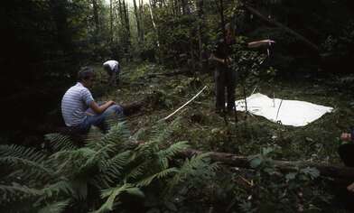 Collective action Library. Photo - 23