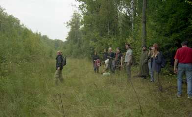 Collective action The Sack. Photo - 40