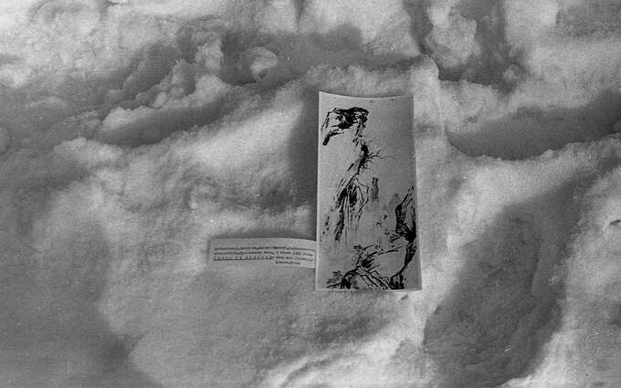 Observing the Waterfall, February 12, 1981