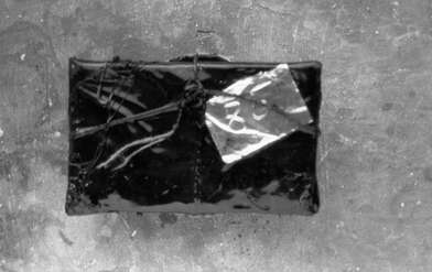 Collective action Library. Photo - 98