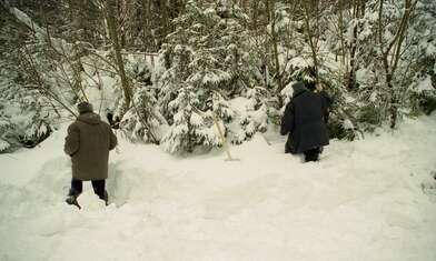 Collective action 625-520. Photo - 2