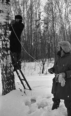 Collective action To Panitkov. Photo - 76