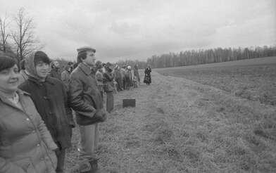 Collective action Image of a Rhombus. Photo - 10