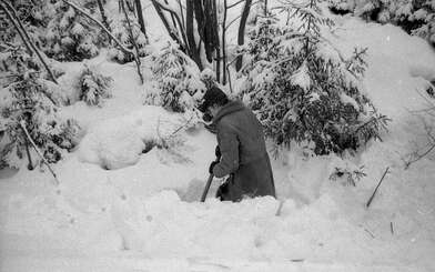 Collective action 625-520. Photo - 83