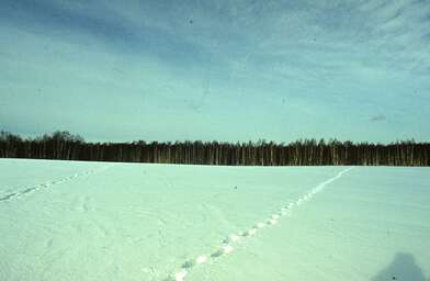 Акция КД 10 Появлений. Фотография - 45