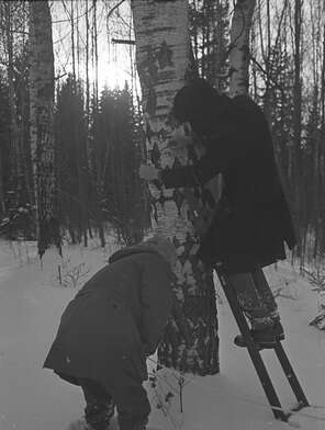 Collective action To Panitkov. Photo - 85