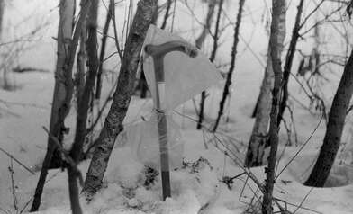 Акция КД За КД — 2. Фотография - 33