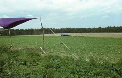 Акция КД Выстрел. Фотография - 8