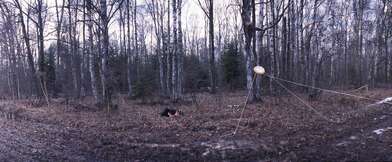 Collective action 14:07-15:13 (Watches). Photo - 11