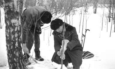 Акция КД За КД — 2. Фотография - 13