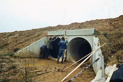 Акция КД Встреча. Фотография - 7