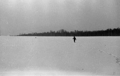 Collective action Description of Action. Photo - 4