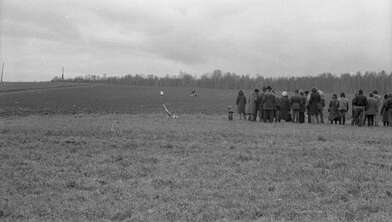 Collective action Image of a Rhombus. Photo - 21