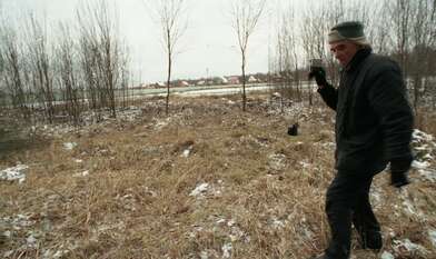 Collective action On the Clearing. Photo - 26