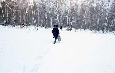 Collective action To Panitkov. Photo - 1