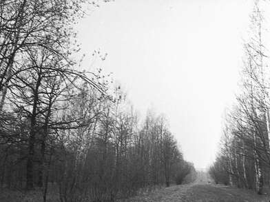 Акция КД Встреча. Фотография - 15