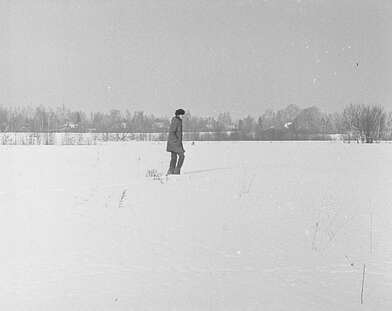 Collective action Observing the Waterfall. Photo - 31