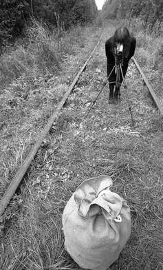 Collective action The Sack. Photo - 61