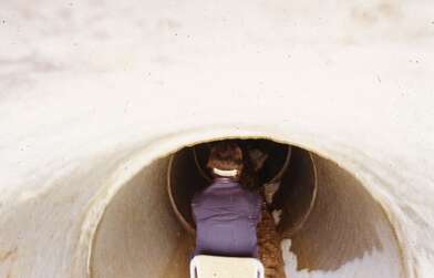 Акция КД Встреча. Фотография - 10