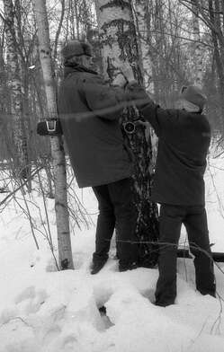 Collective action 83. Photo - 89