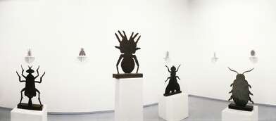 Exhibition Iron Fly. Photo - 2