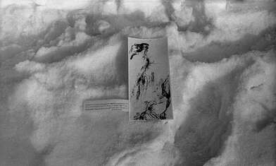 Collective action Observing the Waterfall. Photo - 62