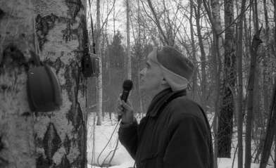 Collective action 83. Photo - 105