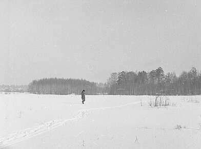 Collective action Observing the Waterfall. Photo - 30