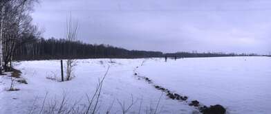 Collective action 83. Photo - 58