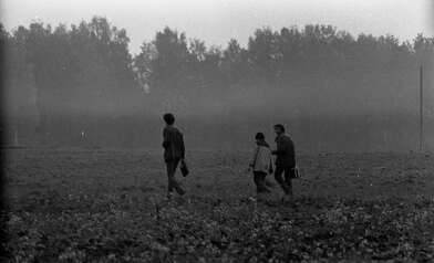 Акция КД М. Фотография - 88