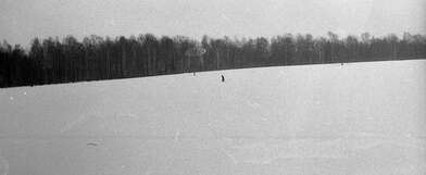 Collective action Description of Action. Photo - 5