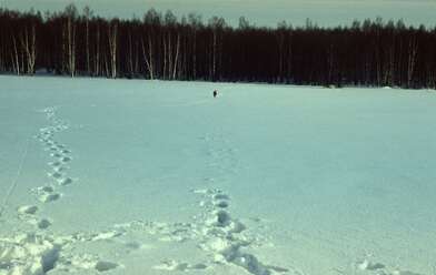 Акция КД 10 Появлений. Фотография - 68